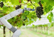 CfiAgrotech: este martes se inaugura el congreso y exhibición de innovación y tecnología más importante del sector agroalimentario de América Latina