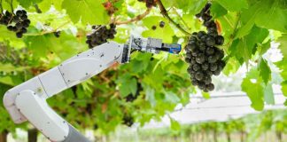 CfiAgrotech: este martes se inaugura el congreso y exhibición de innovación y tecnología más importante del sector agroalimentario de América Latina