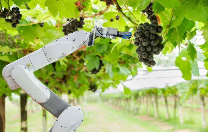 CfiAgrotech: este martes se inaugura el congreso y exhibición de innovación y tecnología más importante del sector agroalimentario de América Latina