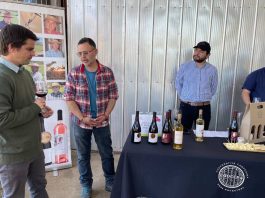 Cooperativismo vitivinícola en Ñuble: ejemplo de asociatividad