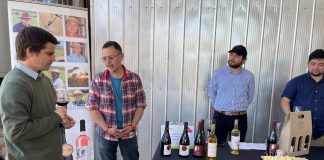 Cooperativismo vitivinícola en Ñuble: ejemplo de asociatividad