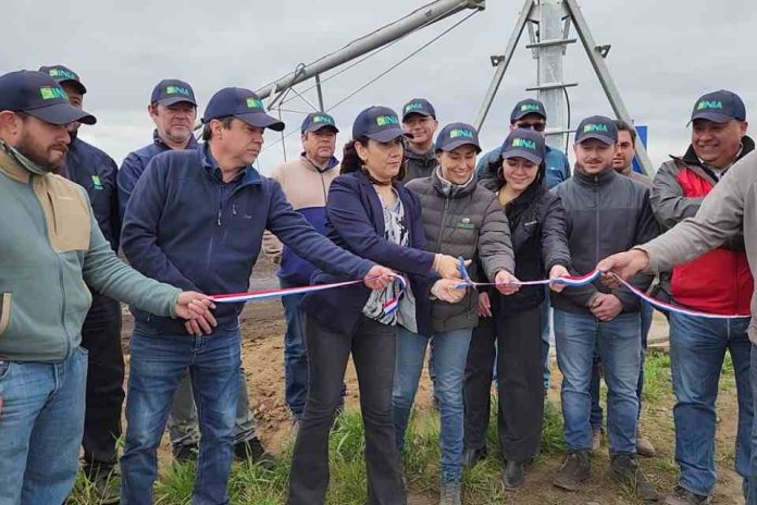 En Los Ángeles INIA inauguró primera obra de modernización que mejorará rendimientos de sus predios productivos