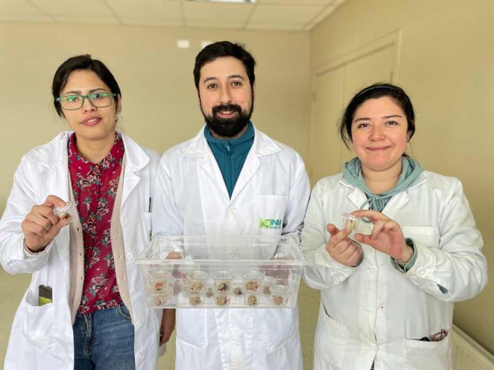 En su día: ingenieros en alimentos de INIA Remehue hacen estudio de consumidores de barras de cereales hechas con algas marinas