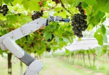 Este martes se inaugura el congreso y exhibición de innovación y tecnología más importante del sector agroalimentario de América Latina