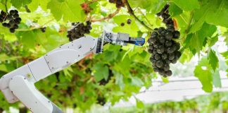 Este martes se inaugura el congreso y exhibición de innovación y tecnología más importante del sector agroalimentario de América Latina