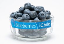 Exportaciones de Arándanos de Chile