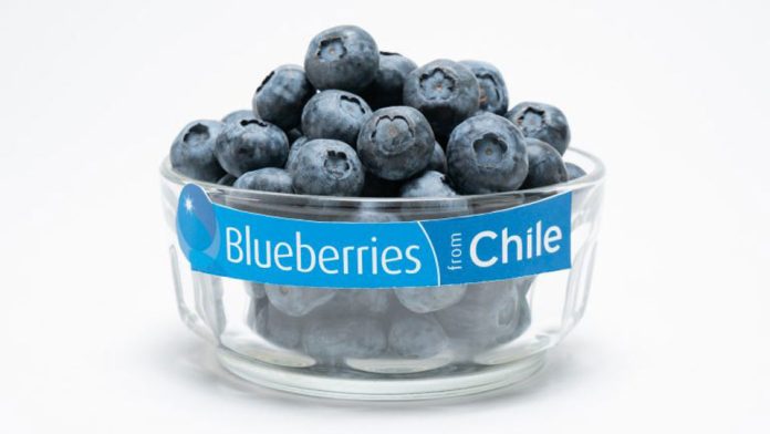 Exportaciones de Arándanos de Chile