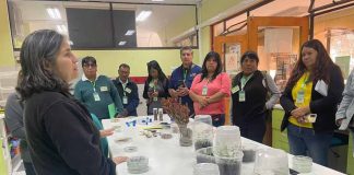 Guardadores de semillas de comunidades Atacameñas conocen técnicas de resguardo y propagación de especies de INIA