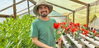 Joven emprendedor de Yumbel se posiciona en el mercado con sus flores y hortalizas