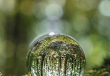 Mes del Medioambiente