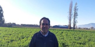 Onizzo busca fortalecer sus exportaciones de ciruelas secas y debutar con las frescas