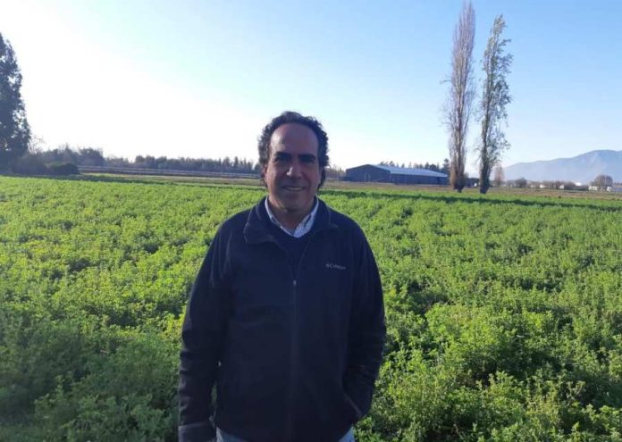 Onizzo busca fortalecer sus exportaciones de ciruelas secas y debutar con las frescas