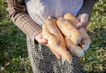 Por transparencia y brillo: estudian almidón de yuca para producir plástico sustentable