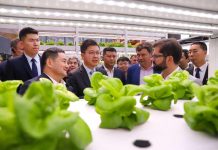Presidente Boric y ministro Valenzuela conocen “Silicon Valley de la agricultura" chino tras inauguración de Chile Week 2023 