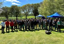 Productores conocen innovadoras soluciones agrícolas en Día de Campo en Los Lagos