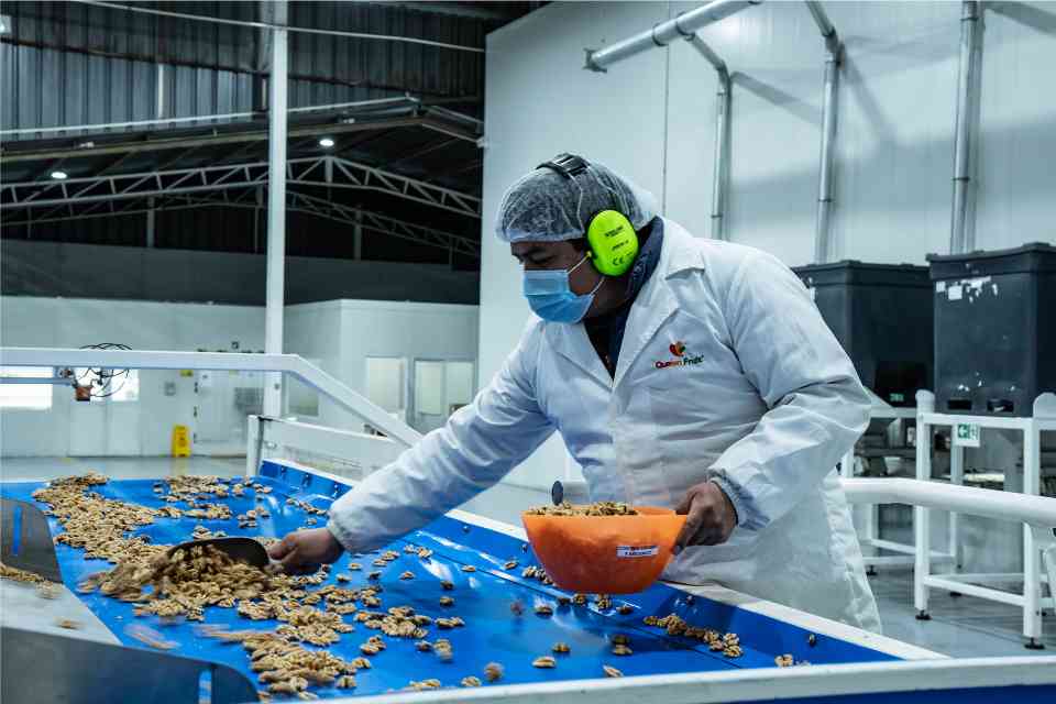 QUELEN FRUIT, CON PACKING MERQUÉN, CUENTA CON LAS SOLUCIONES DE TOMRA FOOD PARA OPTIMIZAR SU CLASIFICACIÓN DE NUECES