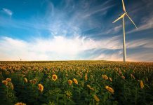 ¿Qué diferencias existen entre la agricultura de antes y la actual?
