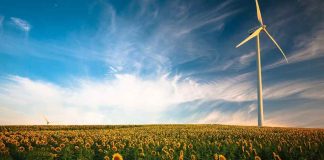 ¿Qué diferencias existen entre la agricultura de antes y la actual?