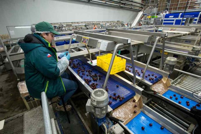 SAG busca inspectores de fruta para temporada de exportaciones agrícolas 2023-2024