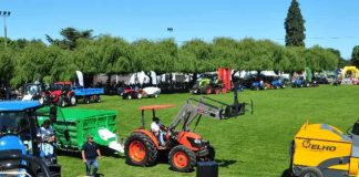 SAGO A.G. mejora standard de Recinto de Exposiciones con miras a SAGO FISUR 2023