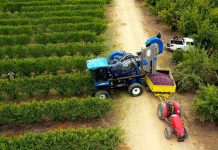 Sostenibilidad y Eficiencia: el nuevo rostro de la agricultura del siglo XXI