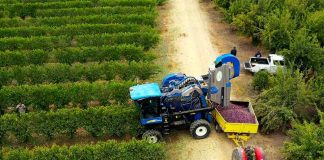 Sostenibilidad y Eficiencia: el nuevo rostro de la agricultura del siglo XXI