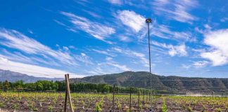 Wiseconn hace un llamado al uso consciente y sustentable de los recursos hídricos