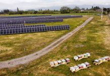 colmenas fotovoltaicas en im2; nueva tendencia de economía circular