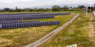 colmenas fotovoltaicas en im2; nueva tendencia de economía circular