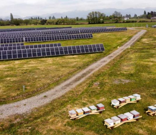 colmenas fotovoltaicas en im2; nueva tendencia de economía circular