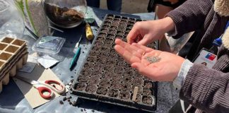 Organizaciones sociales y comunidad en general aprenden a aprovechar residuos orgánicos para producir alimentos inocuos