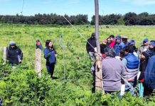 tecnología solar en labores agrícolas