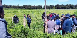 tecnología solar en labores agrícolas