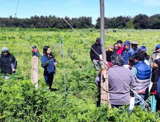 tecnología solar en labores agrícolas