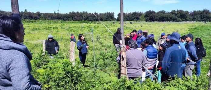 tecnología solar en labores agrícolas
