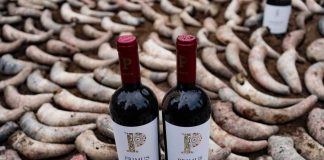  viñedos veramonte será sede del 13° encuentro de vitivinicultura biodinámica 