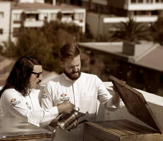 ¡Atención! Colmenas Urbanas abre 100 cupos gratuitos para el módulo digital del curso de crianza de abejas en la ciudad