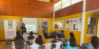 “Aceitunas de mesa Freirina” olivicultores buscarán inscribir marca colectiva para agregar valor a su producción y al territorio