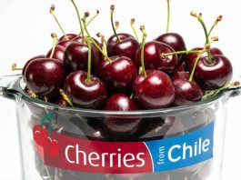 95 millones de cajas de cerezas se exportarán esta temporada 2023-2024