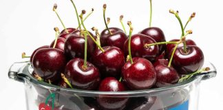 95 millones de cajas de cerezas se exportarán esta temporada 2023-2024