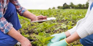 Corfo anuncia nuevos programas por más de $7.000 millones para el desarrollo sostenible en la agricultura
