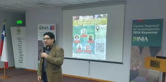 Expertos dan a conocer estrategias para control del cáncer bacterial en cerezos