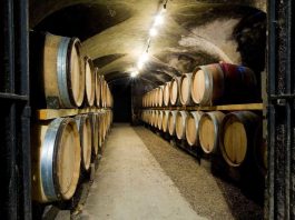 Gases inertes aseguran la competitividad del vino chileno 