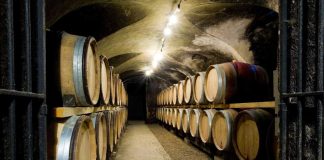 Gases inertes aseguran la competitividad del vino chileno 