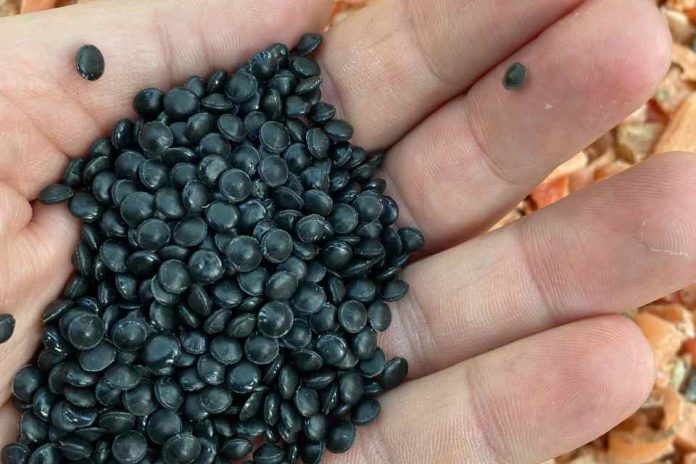 Greenspot abrió nueva planta en aysén para valorizar residuos plásticos de la salmonicultura 