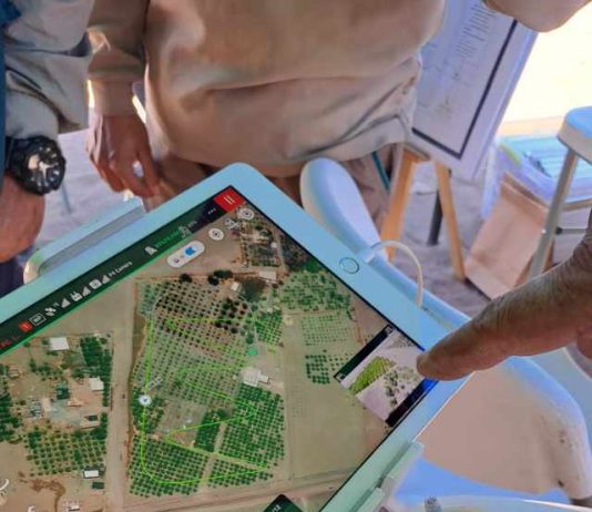 Innovación para el control de plagas: Con drones SAG libera ejemplares estériles de moscas de la fruta en oasis de Pica 