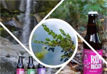 Kombuchén: La bebida saludable y sostenible de la Patagonia respaldada por Corfo Aysén
