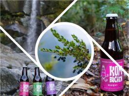 Kombuchén: La bebida saludable y sostenible de la Patagonia respaldada por Corfo Aysén