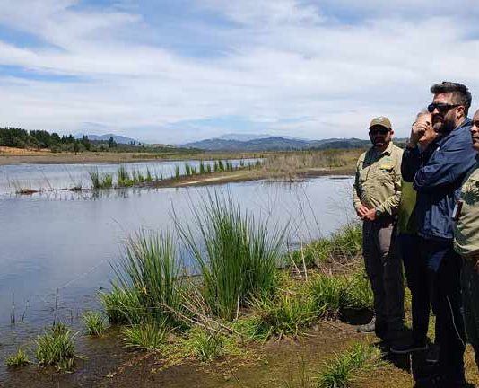 Lago Peñuelas recupera 10% de su espejo de agua tras incremento de lluvias durante el invierno
