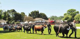 Más de 300 animales serán expuestos en SAGO Fisur 2023